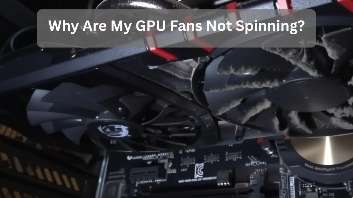 GPU fans not spinning due to dust buildup inside a computer case, highlighting a common overheating cause.